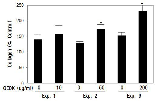 Effect of Octanoyl Esterified Compound K (OECK) on the pro-collagen synthesis in dermal fibroblasts by ELSIA.