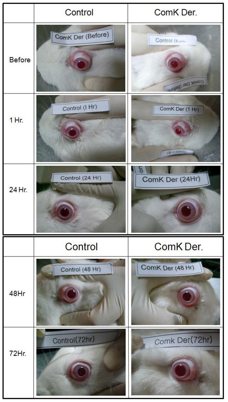 Eye irritation of Octanoyl Esterified Compound K (OECK) by OECD guidelines