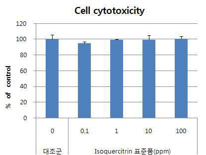 Isoquercitrin의 HDF-N 세포에 대한 독성
