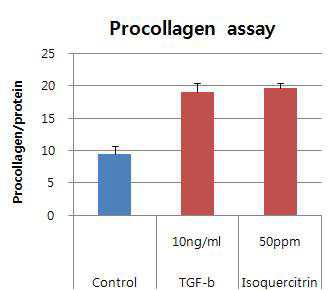 isoquercitrin의 procollagen 합성능 평가 (P<0.005)
