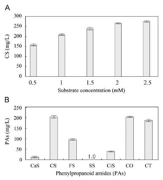 Production of phenylpropanoid amides (PAs) in the recombinant Escherichia coli.