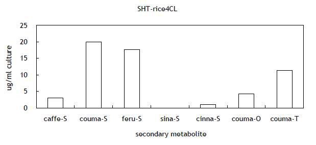 Production of serotonin derivatives from rice 4CL and SHT harboring E. coli.