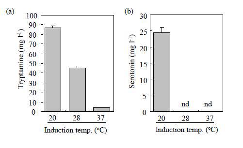 Temperature-dependent expression of pCOLA-GSTΔ37T5H+TDC in E.coli in which the production of tryptamine(a) and (b) serotonin were measured.