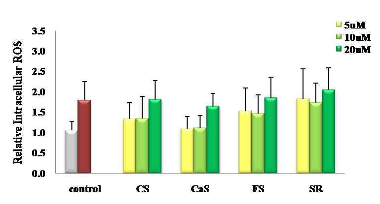 세로토닌 전구체들의 Intracellular ROS 생성 억제 활성 분석