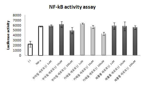 TNF-a (10ng/ml) 처리후 NF-kB 활성에 미치는 세로토닌 전구체의 효과