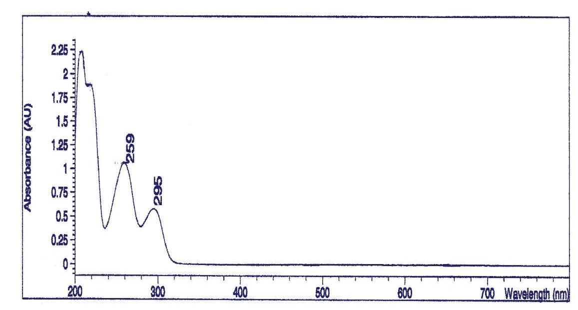Protocatechuic acid의 UV-spectrum