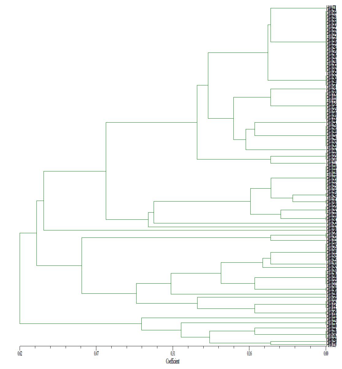 Dendrogram derived from RAPD-PCR DNA analysis of H .marmoreus or L.ulmarium produced by URP 1F primers by unweighted paired group method L.ulmarium produced by URP 1F primers by unweighted paired group method with arthmetric averages