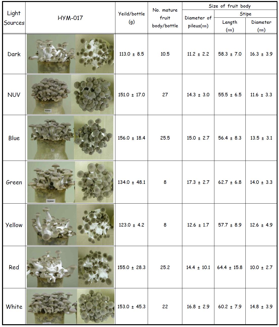 Characteristics and yield of H . marmoreus isoalte HYM-017 fruit bodies grown under the various light sources