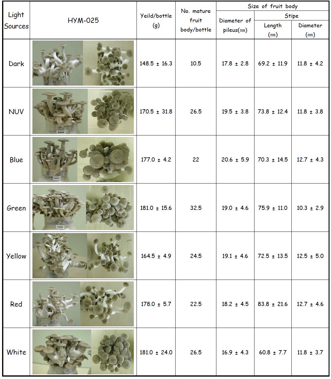 Characteristics and yield of H . marmoreus isoalte HYM-025 fruit bodies grown under the various light sources