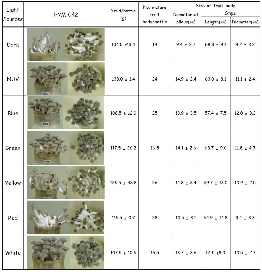 Characteristics and yield of H . marmoreus isoalte HYM-042 fruit bodies grown under the various light sources