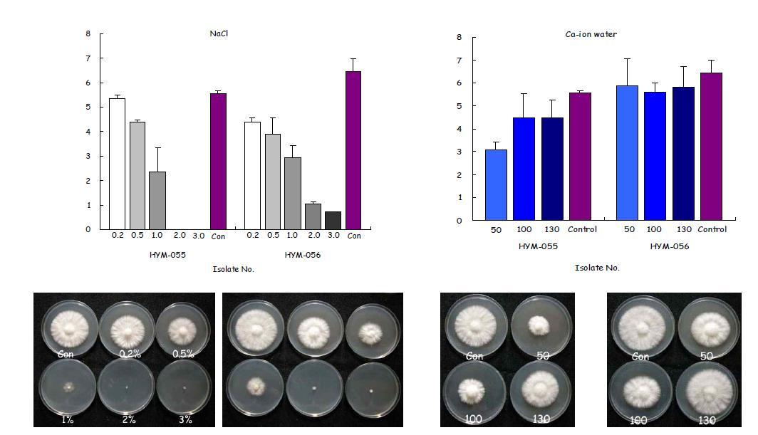 Effect of NaCl and Ca-ion water on mycelial growth of H. marmoreus