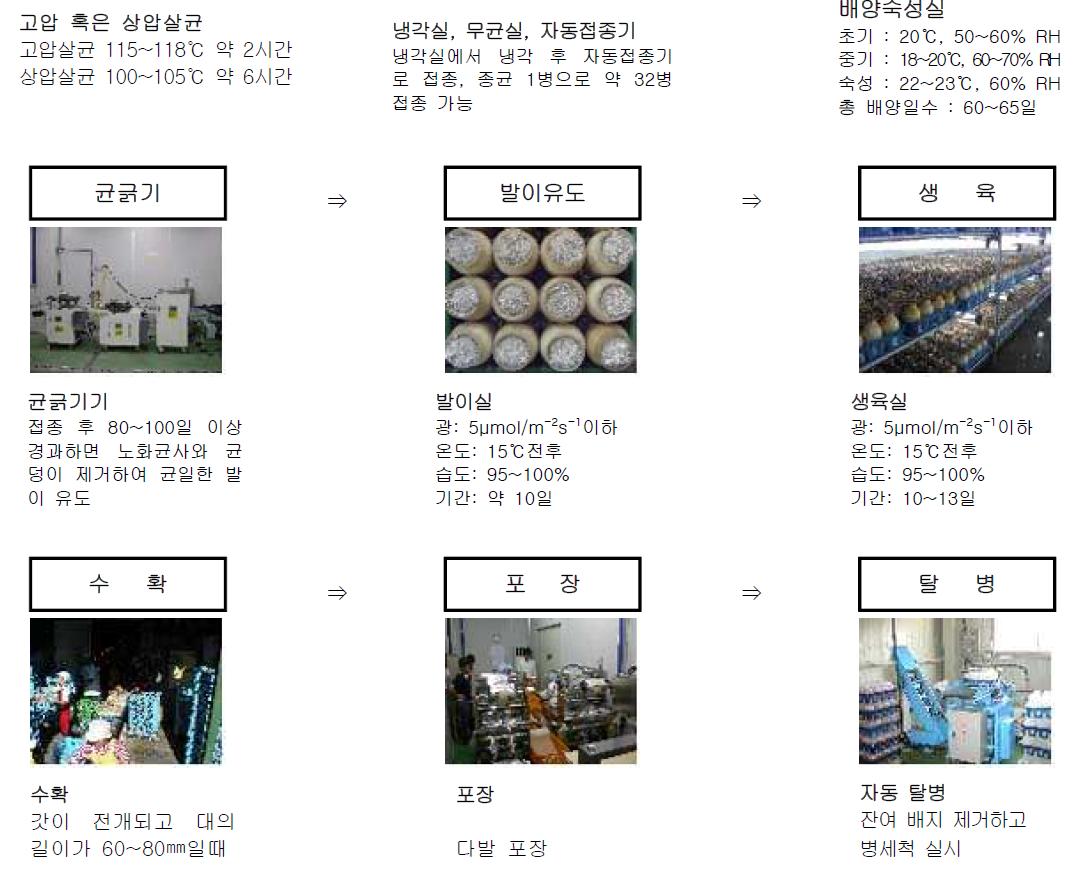 Suggestion for Standard bottle cultivation process of H . marmoreus