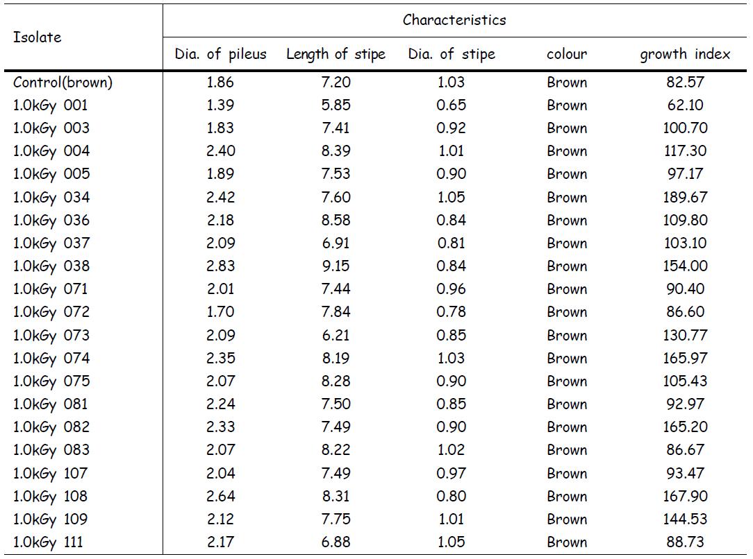 Morphological characterist of mutated isolates by the artificial cultivation