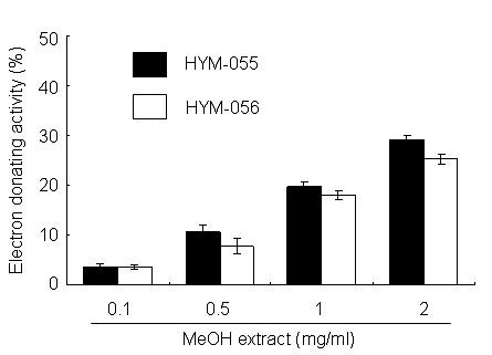 HYM-055 및 HYM-056 자실체에서 분리한 메탄올 추출물의 항산화능