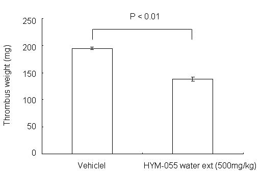 HYM-055 자실체 열수추출물의 혈전형성에 대한 억제적 효과