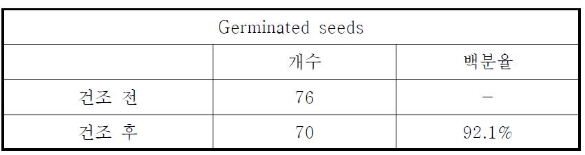 건조 후 발아율의 변화