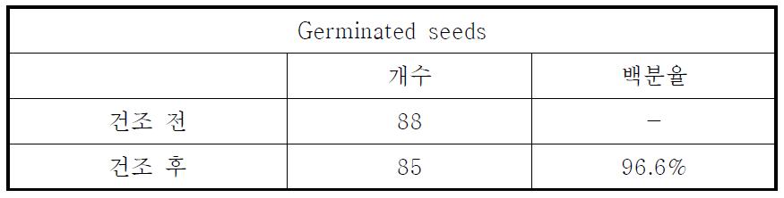 건조 후 발아율의 변화