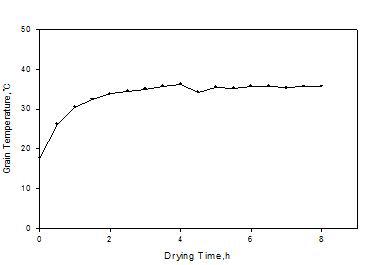 건조 중 유채종자온도의 변화