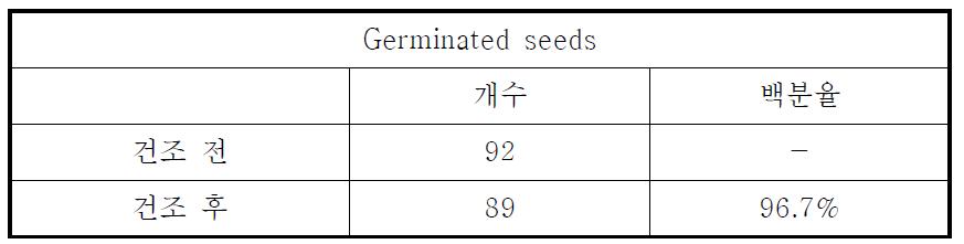 건조 후 발아율의 변화