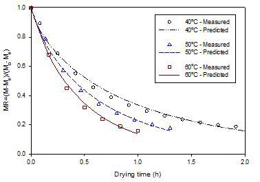 건조온도 40, 50 및 60℃, 상대습도 30%에서의 함수율비의 실험값과 예측값 비교