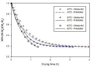 건조온도 40, 50 및 60℃, 상대습도 60%에서의 함수율비의 실험값과 예측값 비교