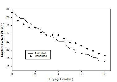 건조 중 벼의 함수율 실험데이터와 예측데이터의 비교