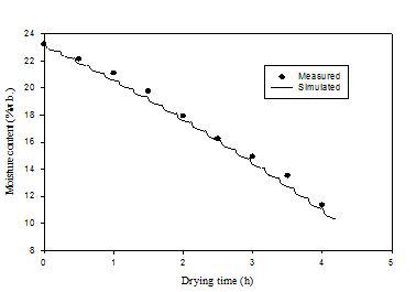 건조 중 유채 종자의 함수율 실험데이터와 예측데이터의 비교