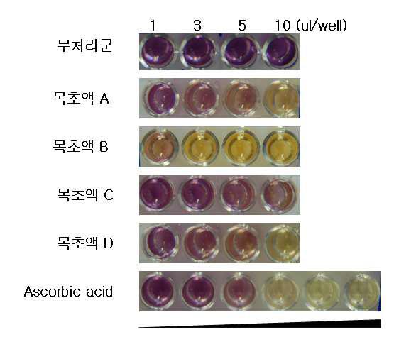 DPPH를 이용한 목초액의 항산화 활성 측정