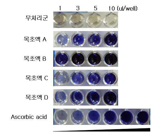 FRAP을 이용한 목초액의 항산화 활성 측정