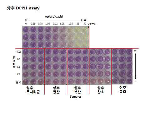 상추의 DPPH 항산화 결과 사진