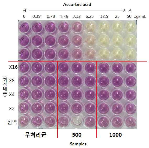 방울토마토의 DPPH 항산화 결과 사진