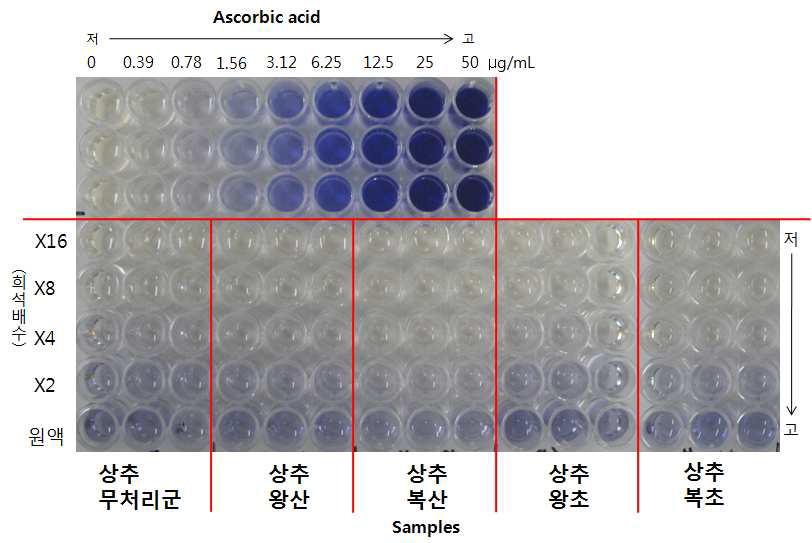 상추의 FRAP 항산화 결과 사진