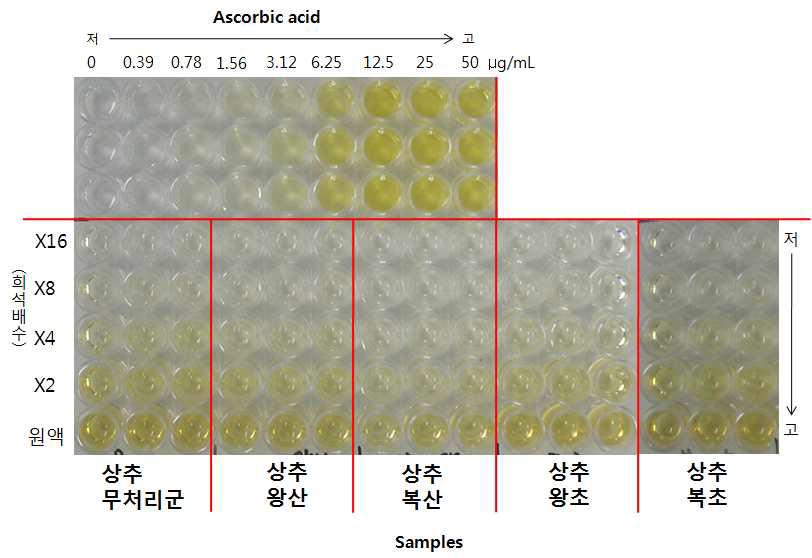 상추의 copper 항산화 결과 사진