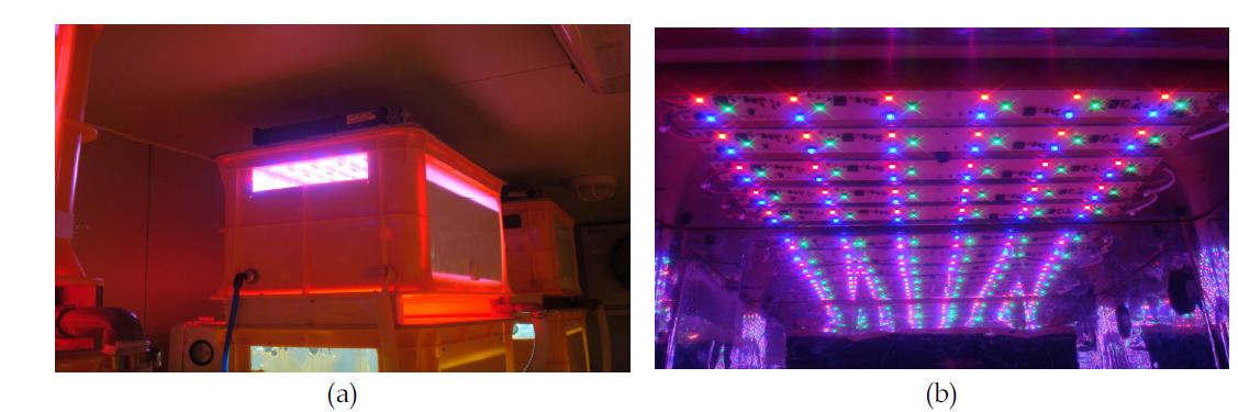 고효율 LED광원이 장착된 육묘시스템(a)및 고효율 LED모듈(b)