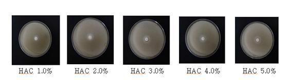 Anti-mold effectofvarious concentrations ofHAC by paperdiskmethods