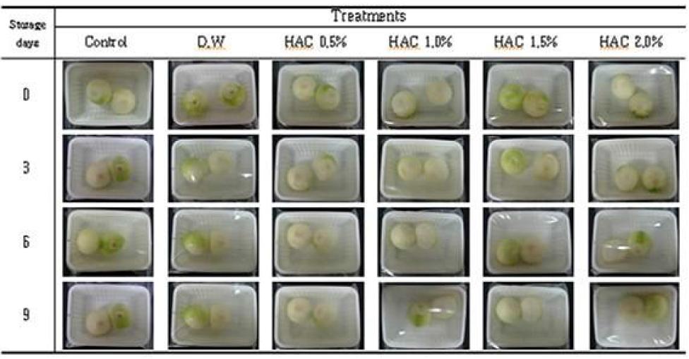 Changesinshapeofonionduringstorageat10℃ afterHACtreatments