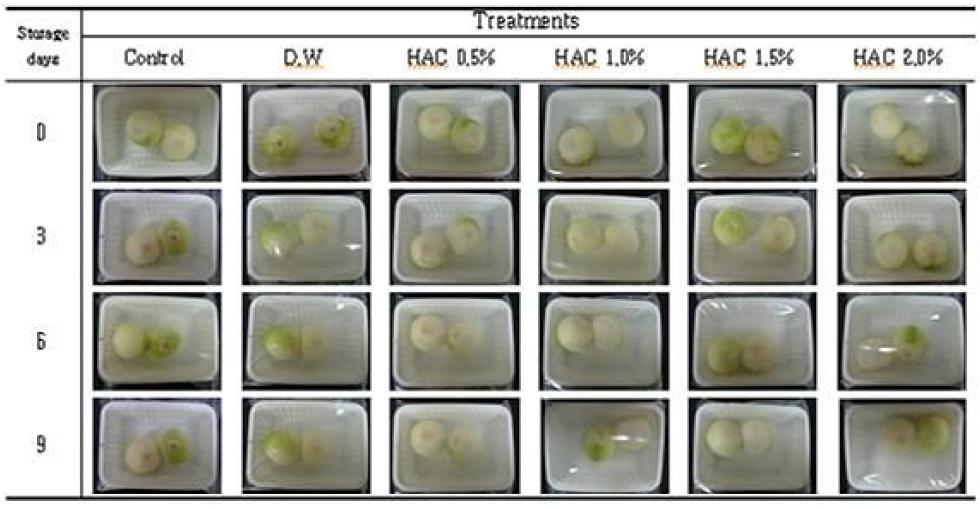 Changesinshapeofappleduringstorageat20℃ afterHACtreatments