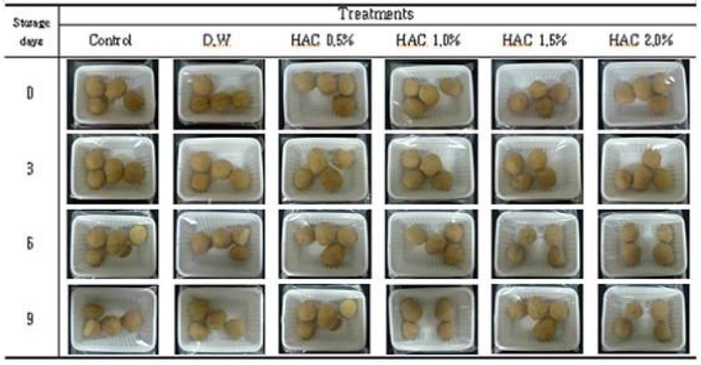 Changesinshapeofpotatoduringstorageat20℃ afterHACtreatments