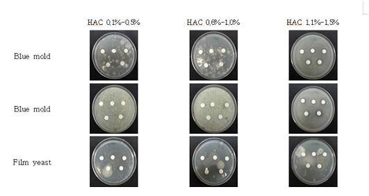 Anti-microbialeffectofvariousconcentrationsofHAC bypaperdiskmethods