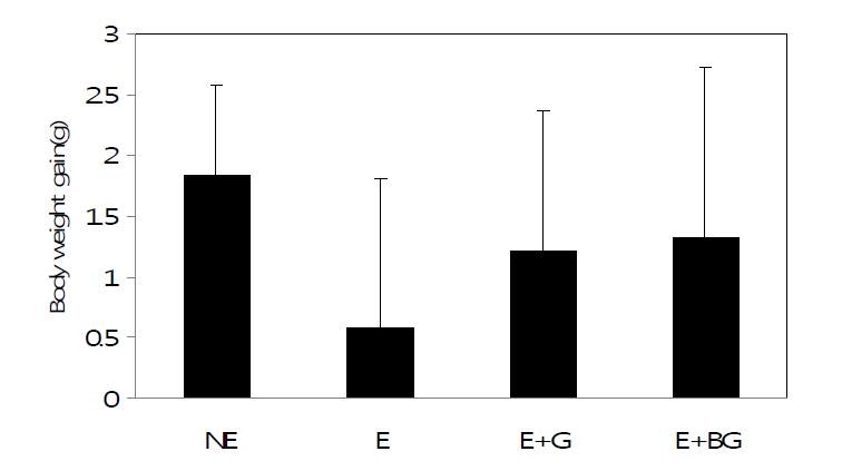숙성생강 추출물 경구투여에 따른 쥐의 몸무게 변화 (2주 경과) The data represents the mean ± S.E.(n=6).NE:No exercise group,E:Exercise group, E+G:Exerciseandgingerfeedinggroup,E+BG:Exerciseandblackgingerfeedinggroup
