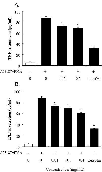 Effects of A. polygama Max. extract on PMA plus A23187-induced cytokineproduction in RBL-2H3cells.Inhibitory effectsofcrudeEtOH extract(A) and SFE marc extract(B) ofA.polygama Max.on PMA plus A23187- induced TNF-a production in RBL-2H3 cells. The RBL-2H3 cells (2 ⅹ 105 cells) were incubatedovernightin24-wellplate.Thecellswerepretreatedwithvariousconcentrations ofthe extractsand then stimulated with PMA (50 ng/mL)plusA23187 (1 μM)for4h. The levelof cytokine in the supernatant was measured by using ELISA.The value representsthemean ± SD ofthreeindependentexperiments.Leuteolin (1.43μg/mL)was usedpositivecontrol.*Valuesaresignificantlydifferentfrom control(*p<0.05,**p<0.01).