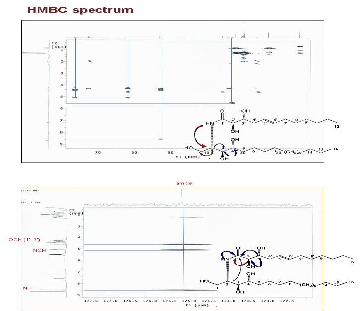gHMBC spectrum ofnew ceramid