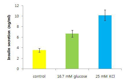 RINm5F세포주의 포도당에 의한 인슐린 분비능 분석