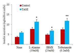 저 Glucose농도조건 (1.1mM glucose)에서 TASE와 인슐린 분비유도물질(L-alanine,IBMX,tolbutamide)과의 동시 처리에 의한 인슐린 분비에 미치는 영향