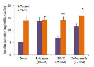 고 Glucose농도 조건(16.7mM glucose)에서 TASE와 인슐린 분비유도물질(L-alanine,IBMX,tolbutamide)과의 동시 처리에 의한 인슐린 분비에 미치는 영향