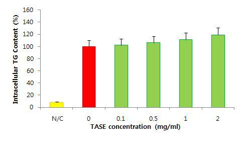 TASE처리에 의한 3T3-L1지방세포 내 TG축적에 미치는 영향