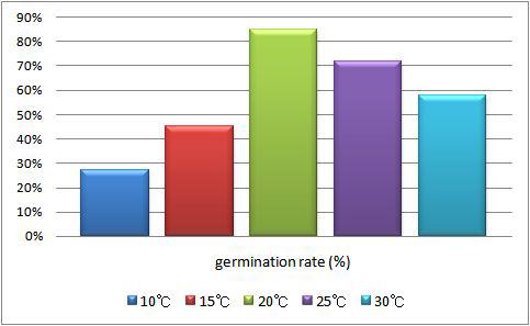 온도 조건별 밀의 발아율