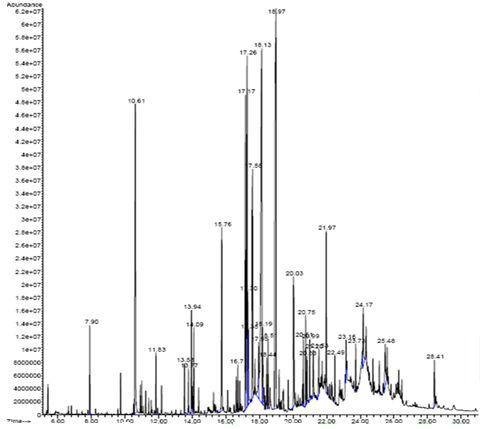 밀순 H2O분획물의 GC-MassSpectrometry