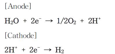양극과 음극에서의 반응