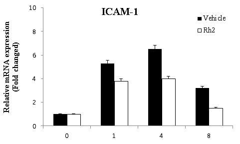 Effect of Rh2 on ICAM-1 expression